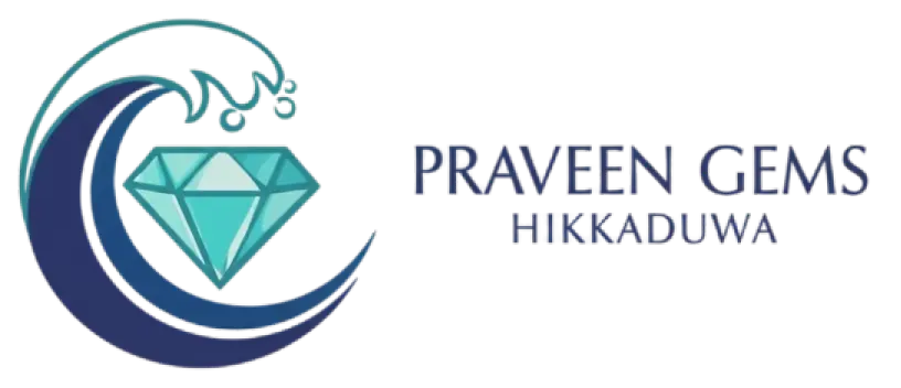 Praveen-logo
